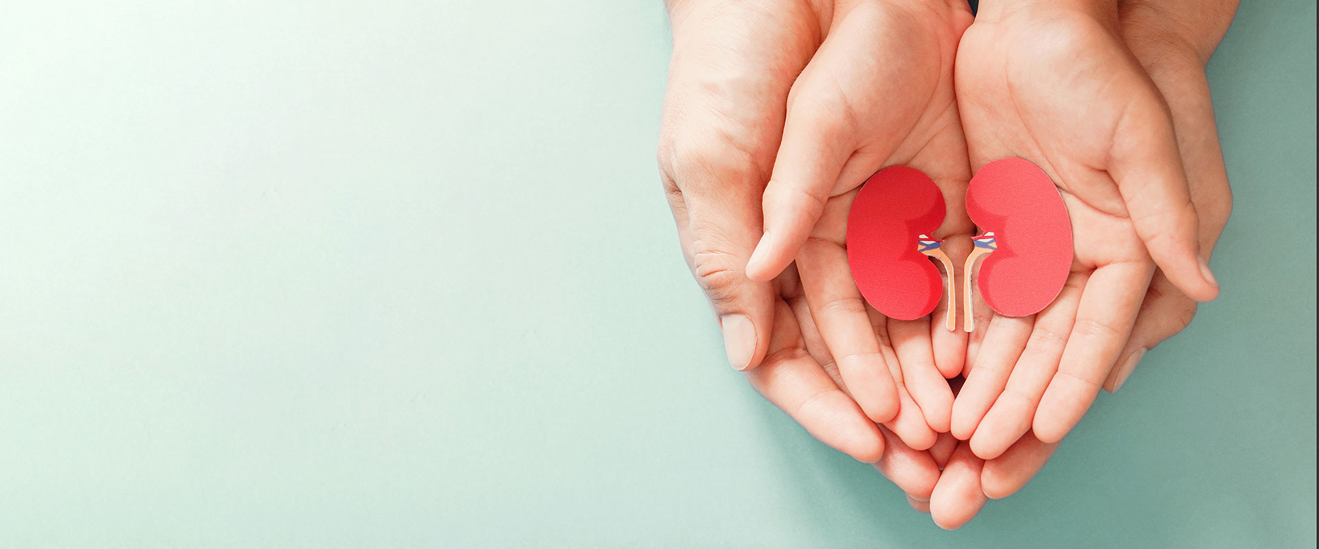 メインビジュアル1